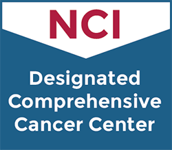 NCI Comprehensive Cancer Center badge