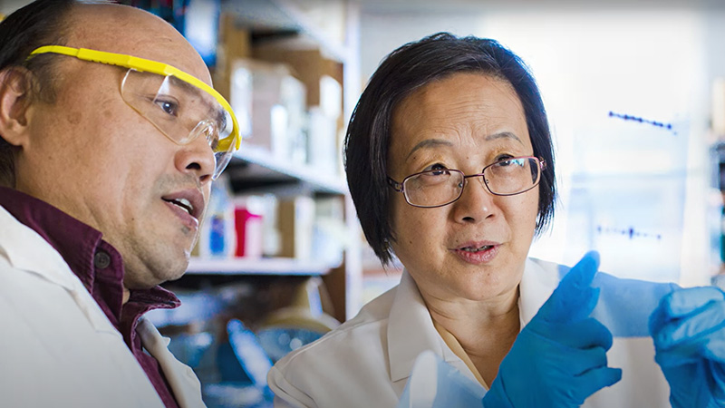 Winship researchers pointing at and discussing research analysis film