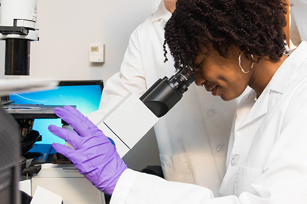 Summer scholars trainee using a microscope