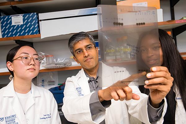 Two summer scholars in the lab with Dr. Vikas Gupta