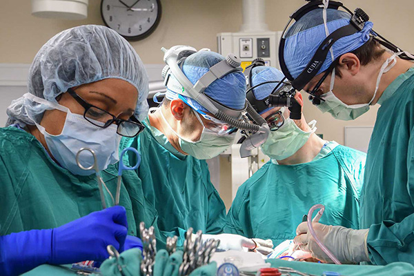 Urology surgery team during a procedure in the operating room