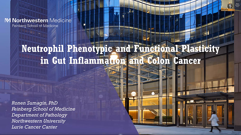 Video thumbnail of Zoom presentation