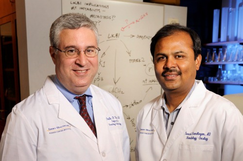 Photo of Ramalingam Named Co-Leader of Winship DDT Research Program
