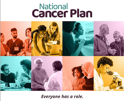 Graphic depicting NCI National Cancer Plan