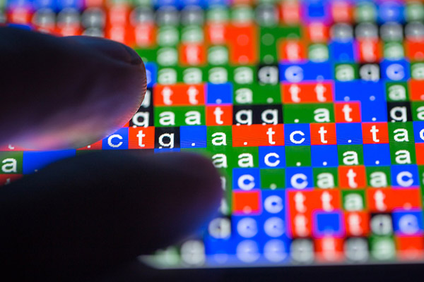 Close up of fingers on a monitor showing dna protein labels (stock image)
