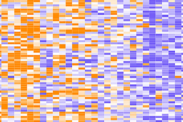 Graphical data display of a genomic profile 