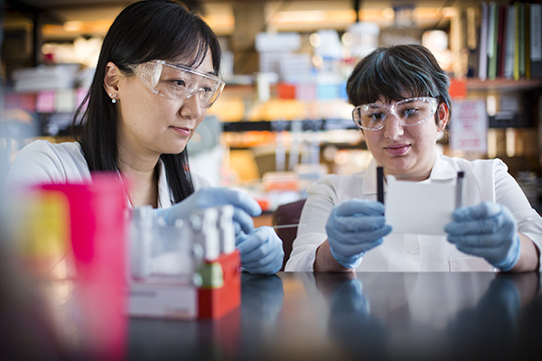 Sumin Kang, PhD, in the lab with lab technician