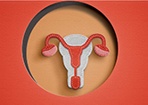 Textile art depicting female reproductive system