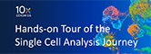 Single cell analysis workshop graphic