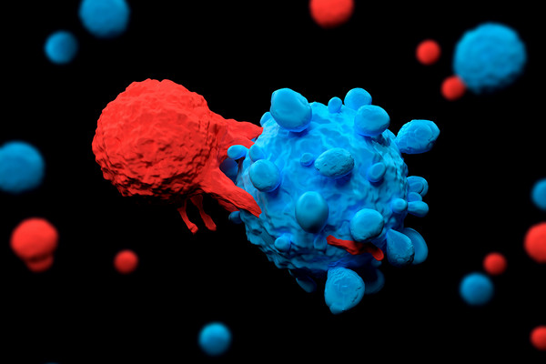 T-cell attacking a cancer cell (stock image)